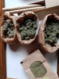 laine, moxas et teintures d'armoise